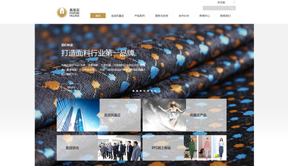 鳳凰莊控股-品牌網站建設-宣盟網絡