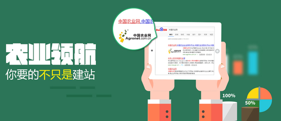 網站建設丨企業官網建設丨做網站丨手機網站丨浙江瞬時達網絡