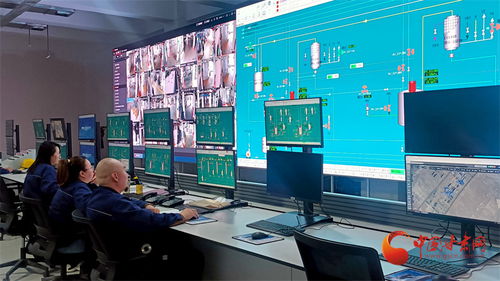 強信心 看發展丨 最強大腦 農藥工廠落戶甘肅永昌工業園區 優服務跑出加速度