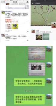 浙江平安產險 尚德守法,食品安全讓生活更美好