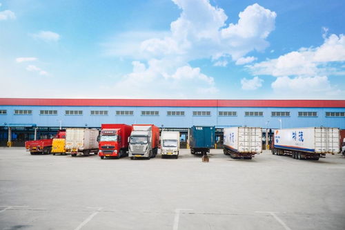 霸道運管所長 你沒跑過這條路啊 不懂上路規矩嗎