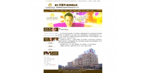 坪山網站制作|坪地企業網站建設公司|龍崗網站設計