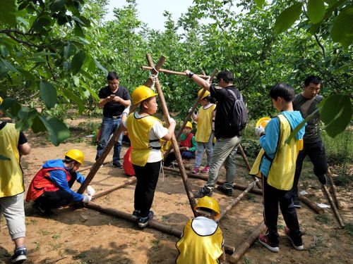 工匠精神之木屋建造者丨浙江龍游五天四夜研學(xué)行