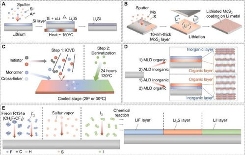 浙江工業(yè)大學(xué)佴建威 陶新永 香港城市大學(xué)樓雄文science子刊 實(shí)現(xiàn)穩(wěn)定的鋰金屬陽極的表面工程