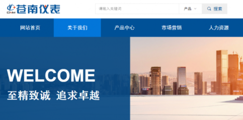 浙江蒼南儀表集團股份與我司做網站推廣項目