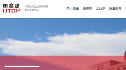 浙江魚童新材料股份有限公司網站推廣與企業網站建設項目合作方案