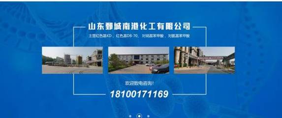 化工企業網站建設佳作賞析 山東鄄城與浙江企業的可視化建站實踐